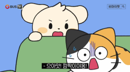 비마이펫_강아지의 조상